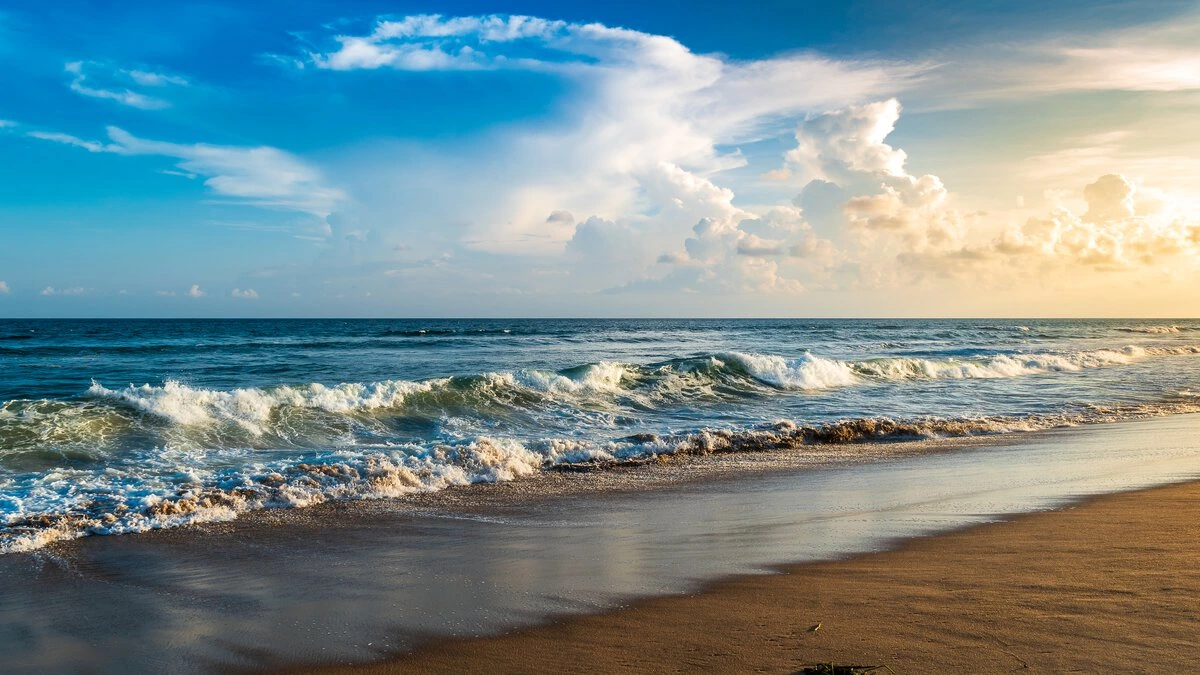 blog-banner.webp